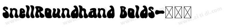 SnellRoundhand BoldS字体转换 SnellRoundhand BoldS字体转换